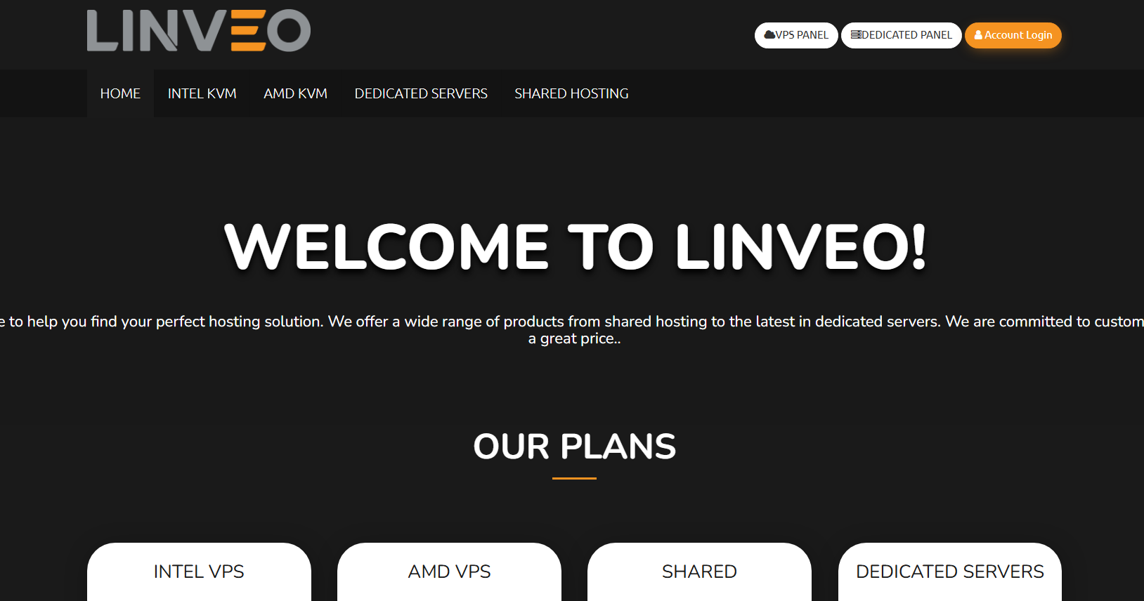 Linveo–2025黑色星期五促销，AMD+Intel高性能VPS 75折